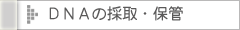 DNA�̍̎�